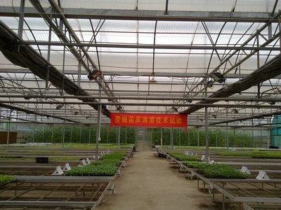 Polycarbonate corrugated sheet project in Guangdong, 1.0mm 18000M2